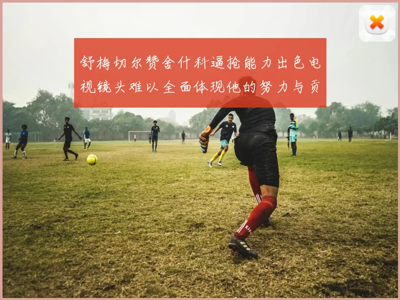 舒梅切尔赞舍什科逼抢能力出色电视镜头难以全面体现他的努力与贡献